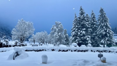 IMG_5112